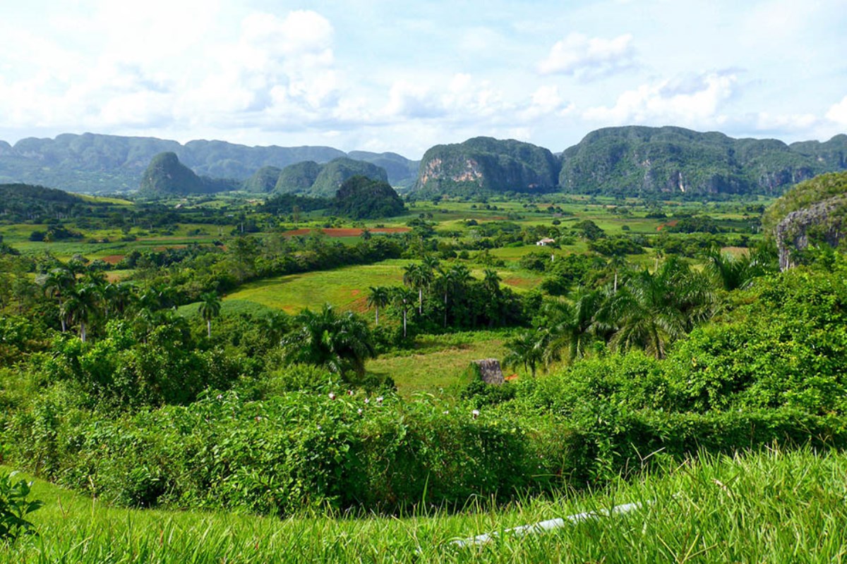 Valle Viñales